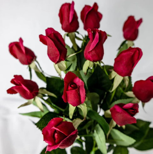 Red Real Touch Bud- Realistic Artificial Flowers - Image 2