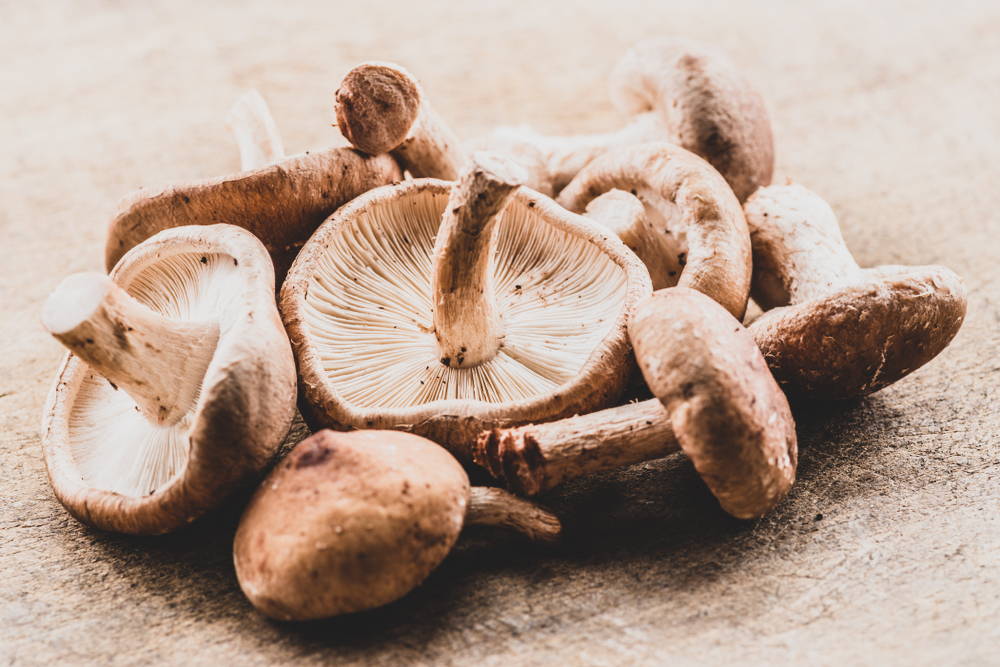 Shiitake mushrooms on table