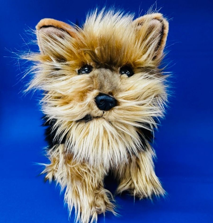 NewsXpress Myrtleford $10 Voucher