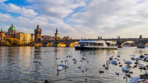 Vltava River Observing Boat Ride 
