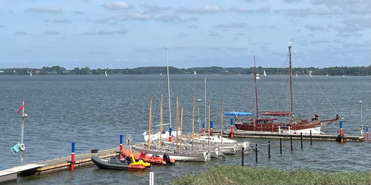 Newsletter August 2024