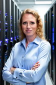 Example of IT Server Room style