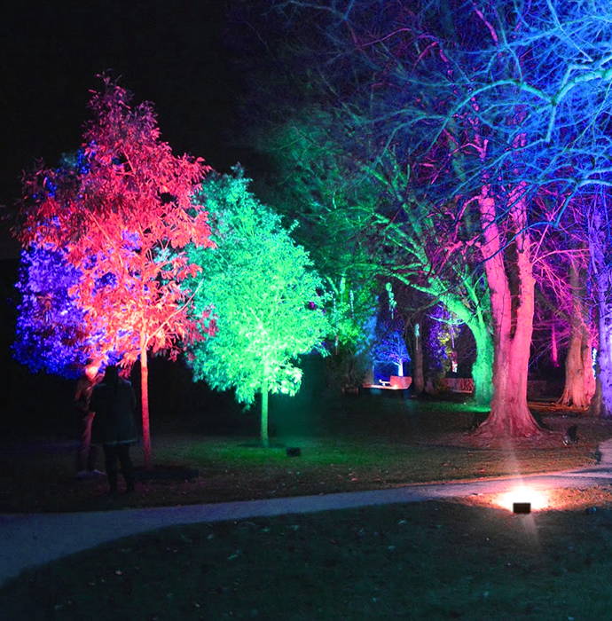 Pathway Color Changing Flood Light