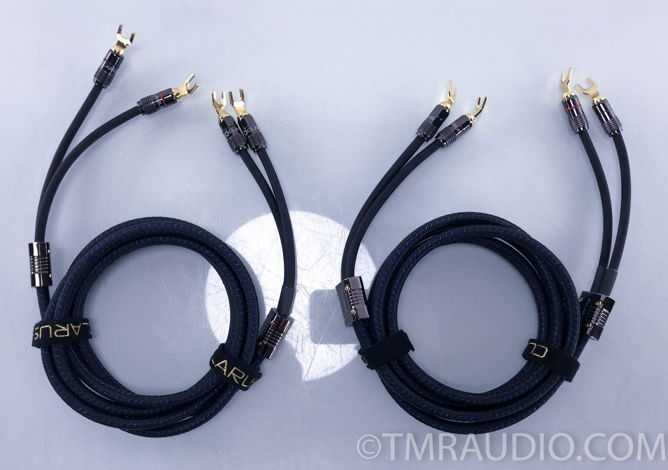 Clarus  Aqua  Speaker Cables; 8 ft. Pair (10220)