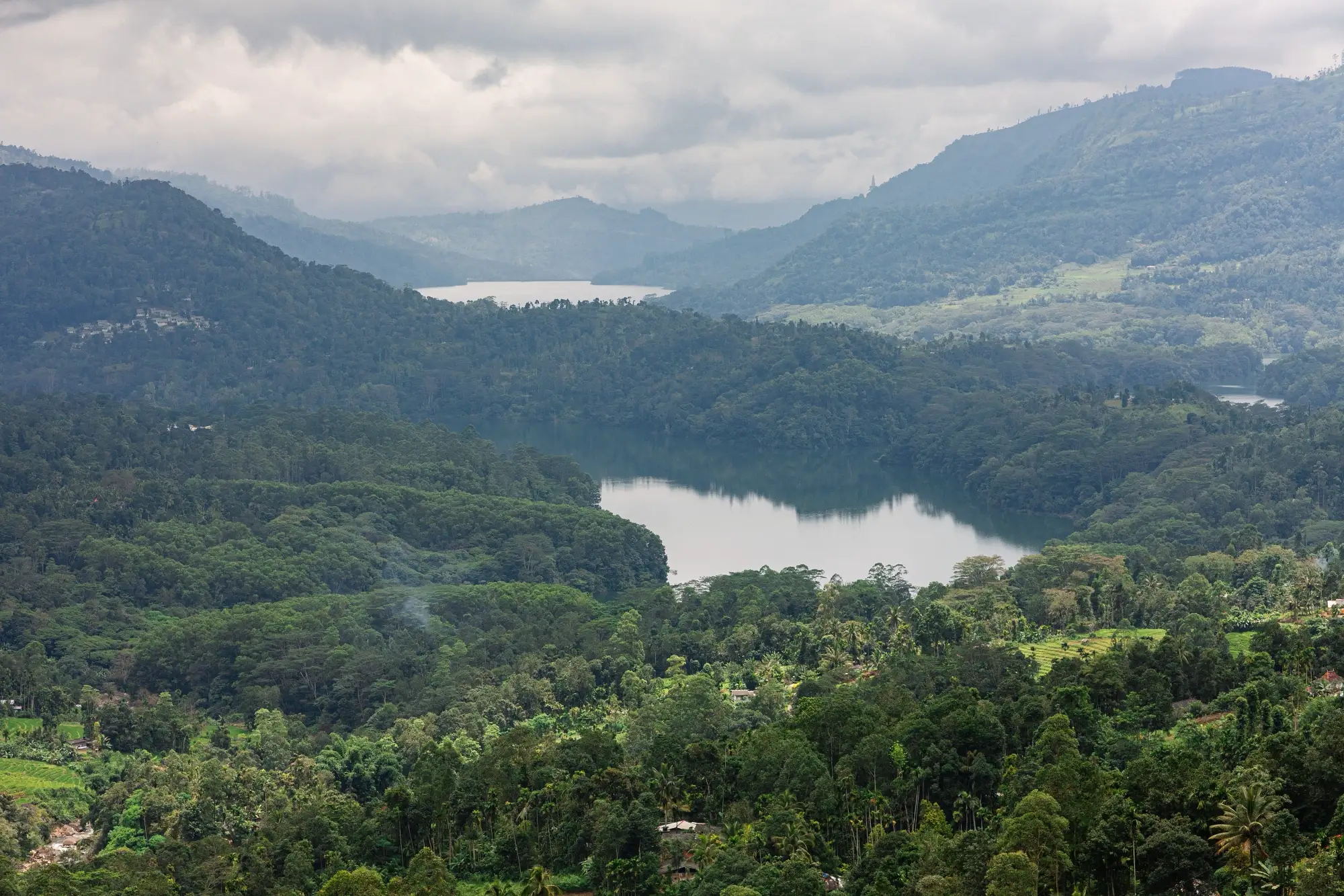 Nuwara Eliya: The Heart of Sri Lanka’s Tea Country