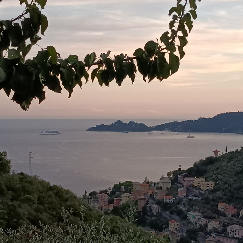 Home restaurants Zoagli: Dinner with a view of Portofino