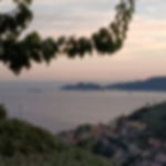 Pranzi e cene Zoagli: Cena con vista su Portofino