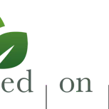 based on IT GmbH