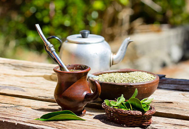 マテ茶効能