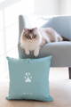 cat sitting on chair above pillow customized with cat's paw and name