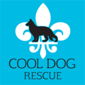 Cool Dog Rescue logo