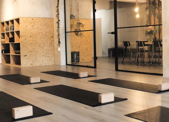 Vinyasa + Somatic Movement