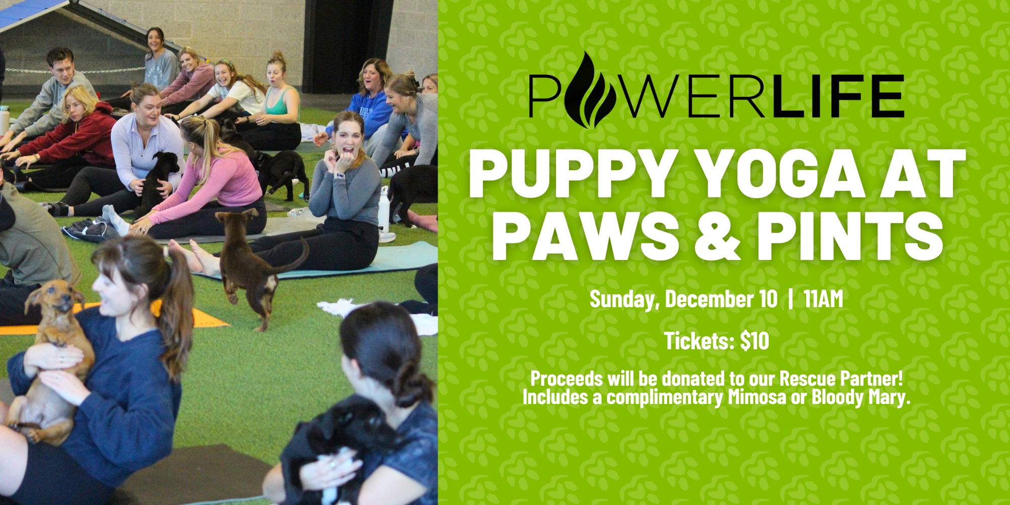 Yoga Paws and Pints at 3 Daughters!