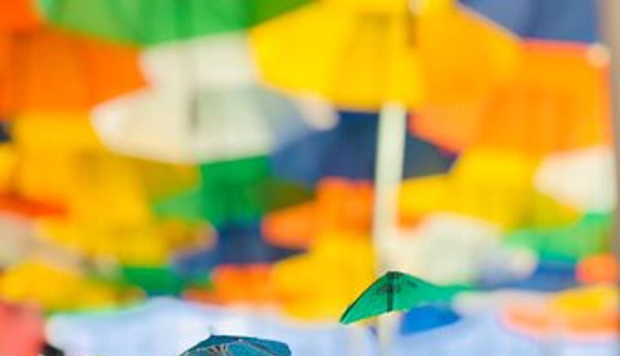 Umbrella Lounge Aruba image