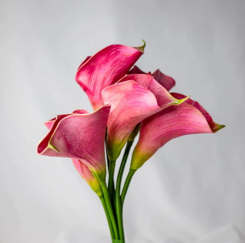 Fuchsia Mini Calla Lily - Realistic Artificial Flowers - Image 2