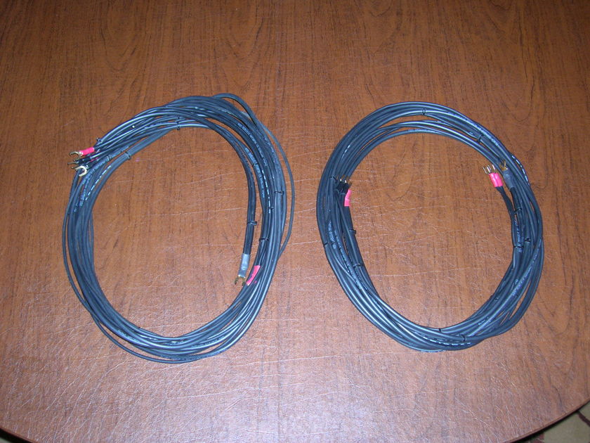 Acarian Systems Black Orpheus Bi-wire Speaker Cables - 10'