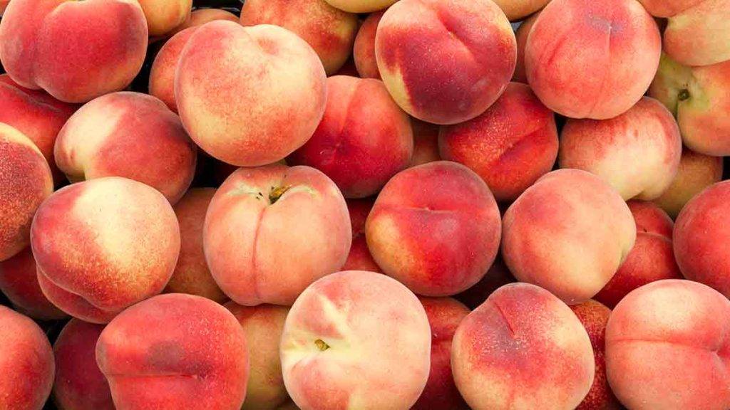 peaches can be dangerous for dogs