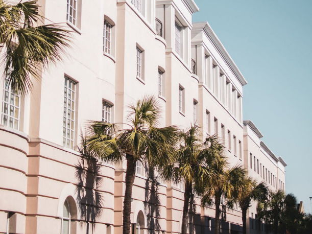 Case study header image