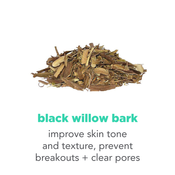 black willow bark