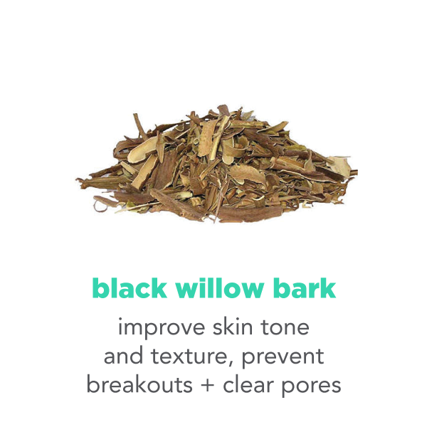 Black willow bark