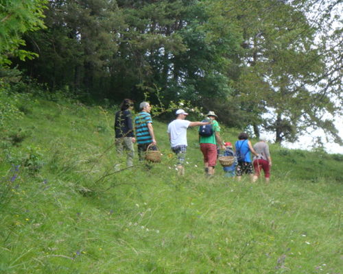 Cooking classes Tremosine: Cooking with Wild Herbs