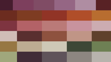 Main Content Image
