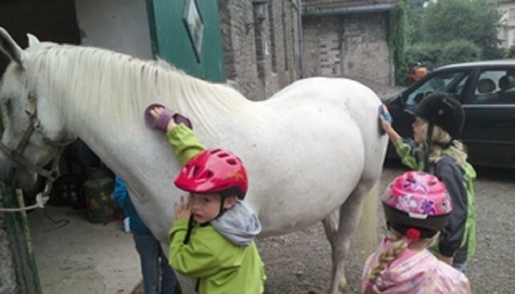 die reitzwerge kinder bürsten pferd