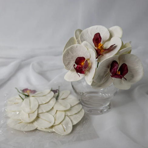 White and Dark Pink Phalaenopsis Flowerhead ( 6 Pack ) - Realistic Artficial Flowers