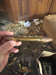 Cigar Session Photo