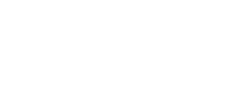 The Peralta Brothers Logo