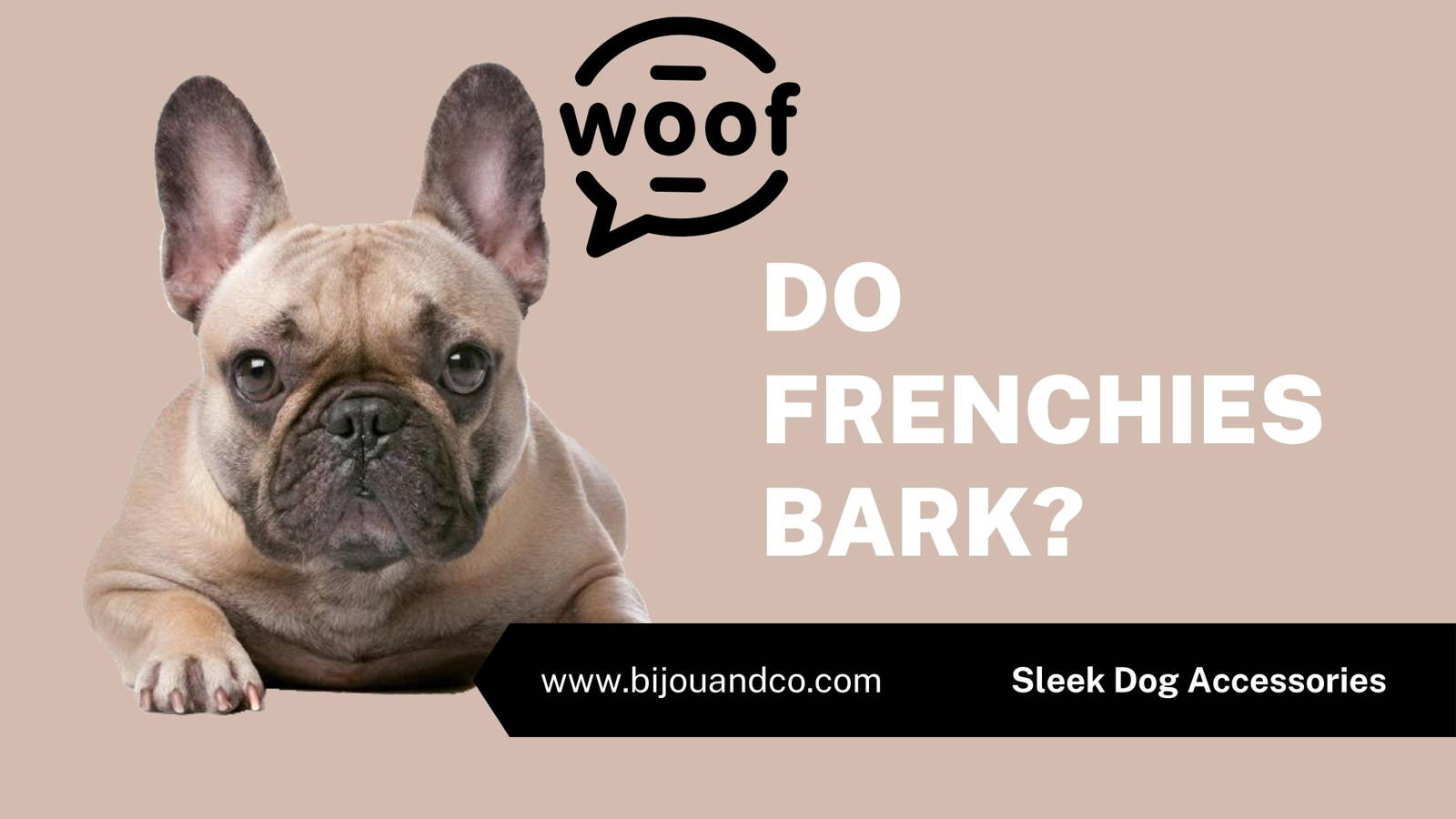 do french bulldogs bark