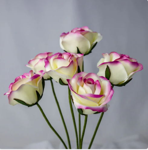 Cream/Fuchsia Velveteen Bloom - Realistic Artificial Flowers - Image 5