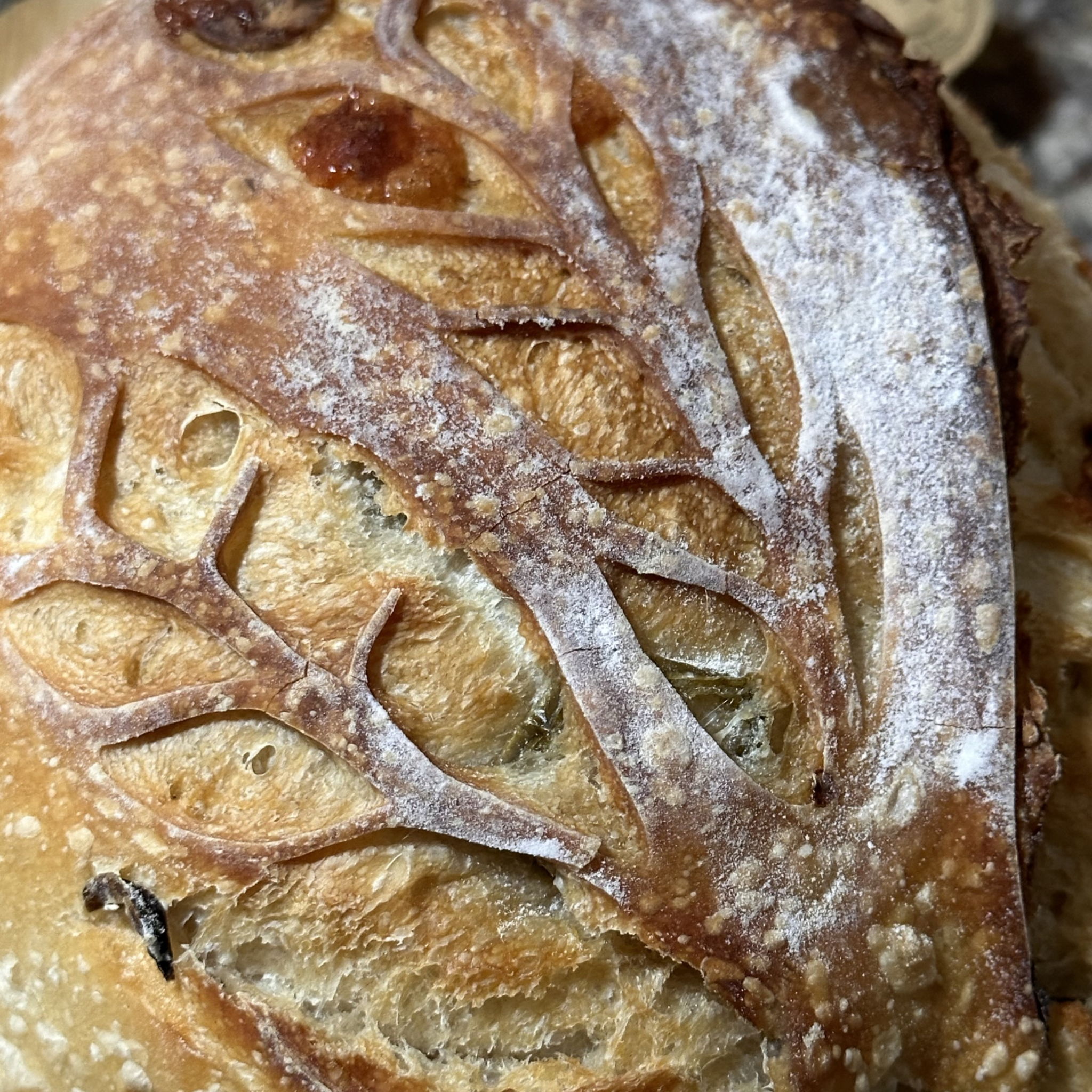 janes_sourdough — photo from hotplate.com