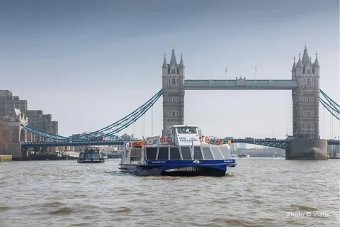Hop-On Hop-Off Sightseeing River Cruise on the Thames
