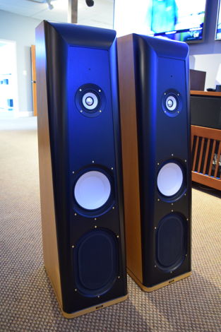 Thiel Audio CS-2.4 Floor standing speakers, Oak Finish ...