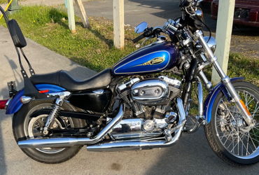 2009 HARLEY-DAVIDSON XL 1200L SPORTSTER LOW (CSTM PAINT) motorcycle for rent near Anchorage, AK