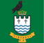 Tintagel Cricket Club logo