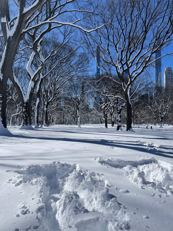 Snowy New York