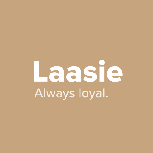 laasie-convert-reviews-pricing-software-features-2024-hotel-tech