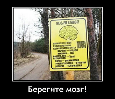 Берегите мозг!