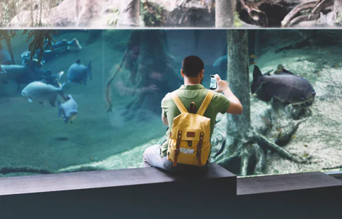 Barcelona Aquarium Skip the Line Ticket