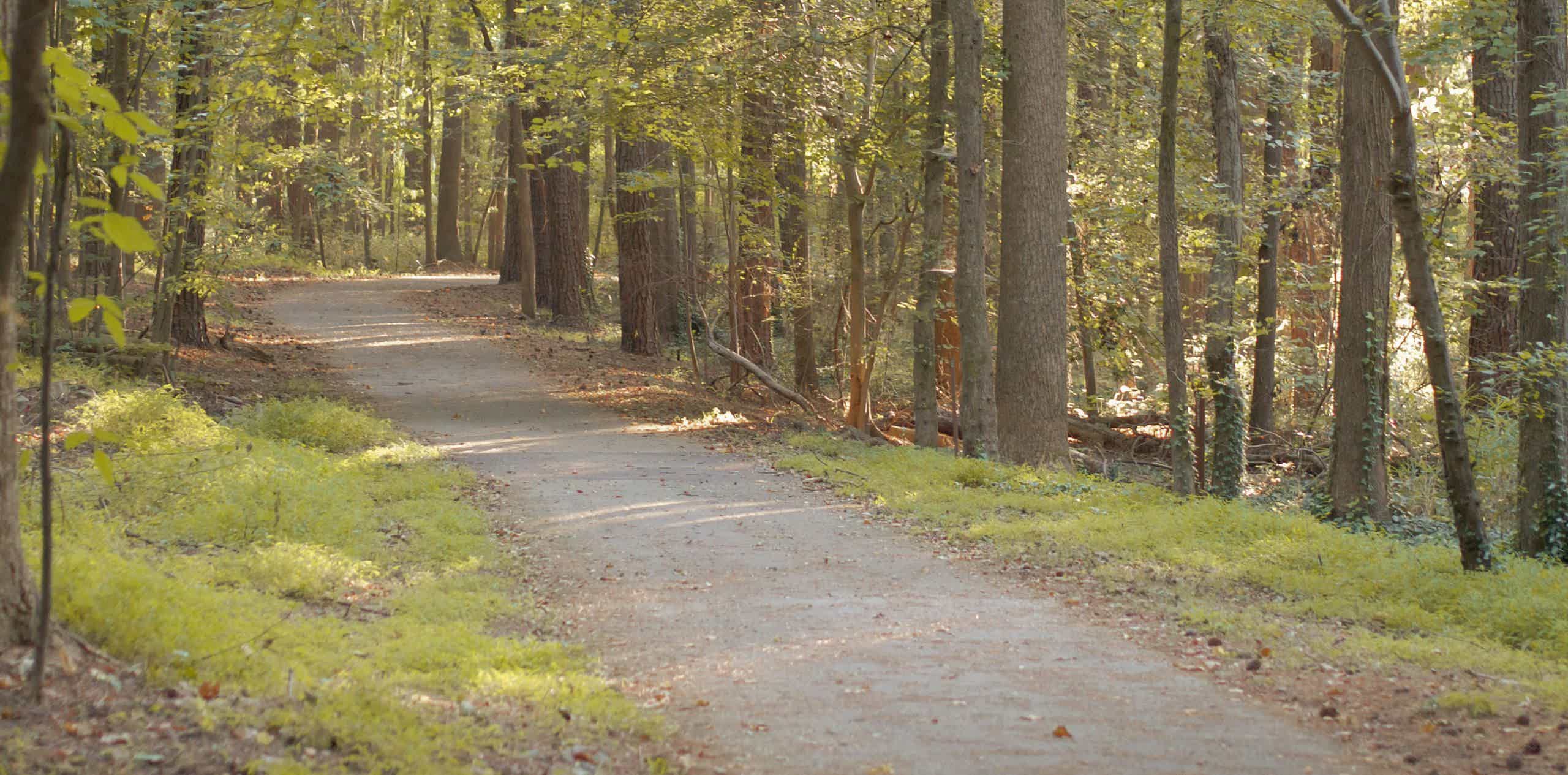 mujer en ruta de bicicleta reacondicionada electrica de montaña viendo el panorama