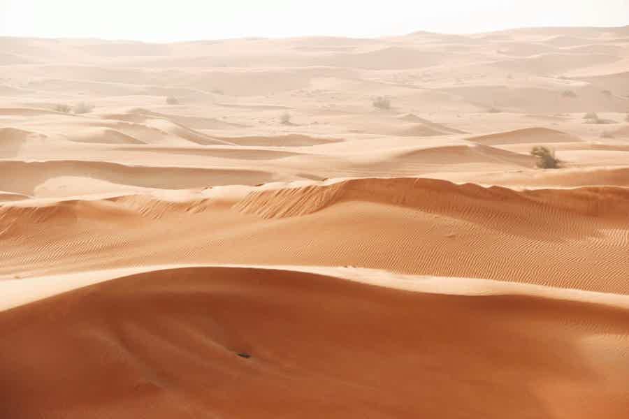 From Fujairah Safari: 4x4 Desert Safari with BBQ Dinner - photo 5