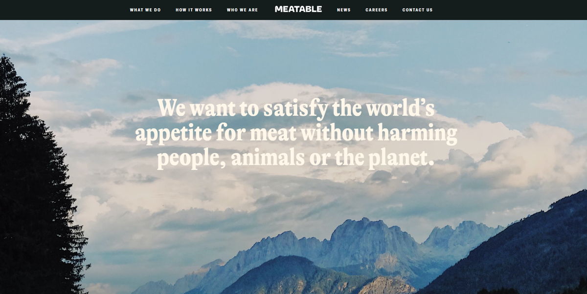Screenshot of Meatable, from the startup websites collection.