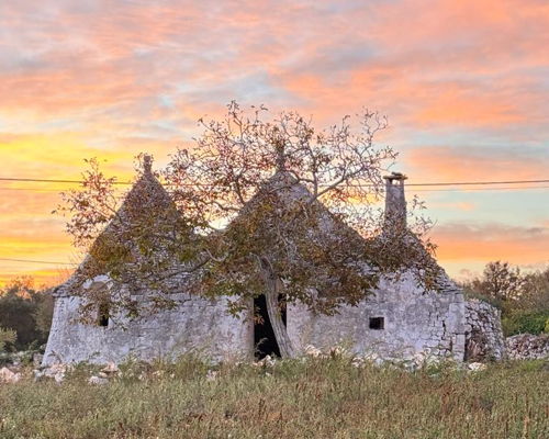 Food & Wine Tours Locorotondo: From market to table in Alberobello