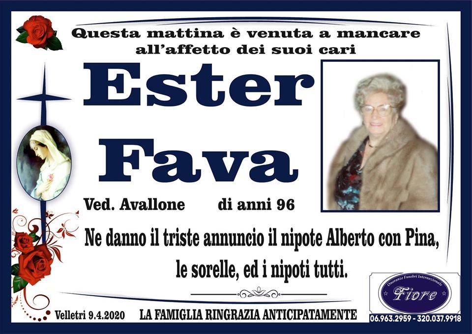 Ester Fava