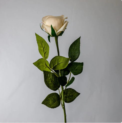 Pale Peach Real Touch Half Bloom Rose - Realistic Artificial Flowers - Image 3