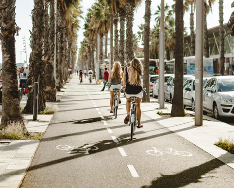3-Hour Local Guided Laid-Bike Tour