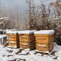 winterize-your-hives-tutorial