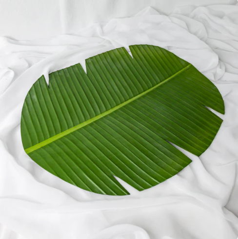 Banana Leaf Placemat (6 Pack) - Realistic Artificial Flowers and Greenery - Image 2